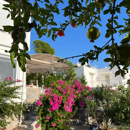 Bella Vista - Near The And Airport וילה דלמן