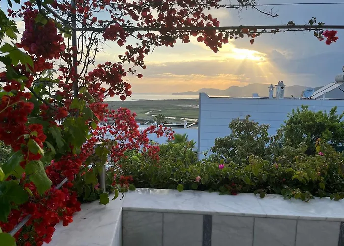 Bella Vista - Near The And Airport Villa