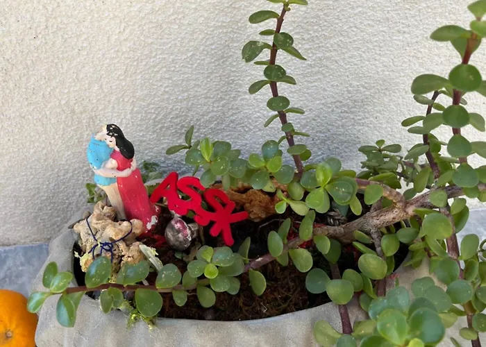 빌라 Bella Vista - Near The And Airport 달라만