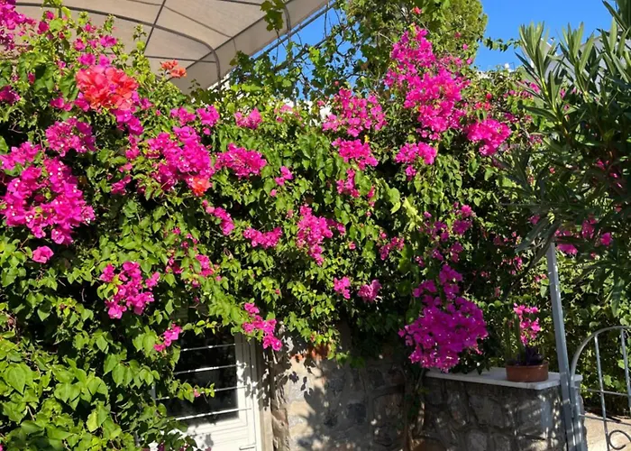 Bella Vista - Near The And Airport Dalaman