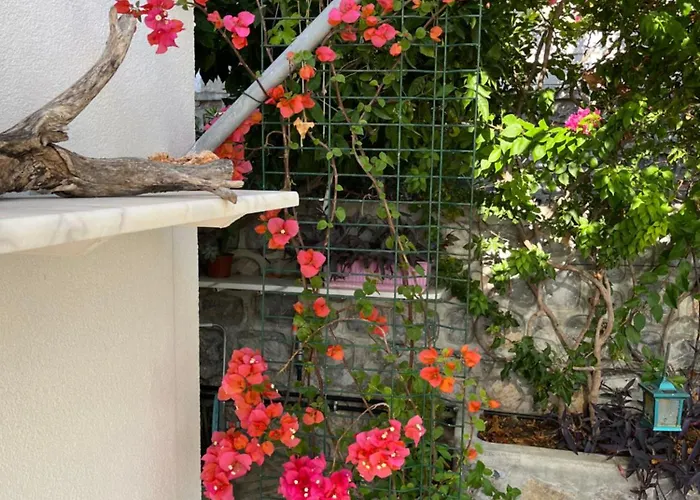 Villa Bella Vista - Near The And Airport Dalaman